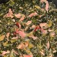 Southern Style Collard Greens