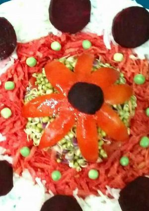 A picture of Sprouted Mung Salad.