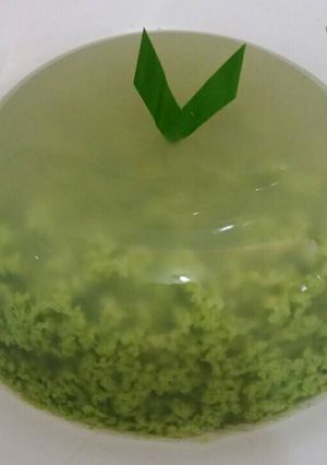 Foto resep Puding lumut