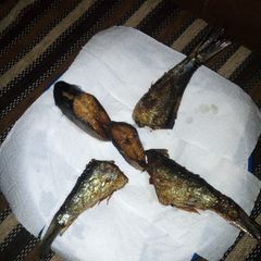 A picture of Fried Sardine.