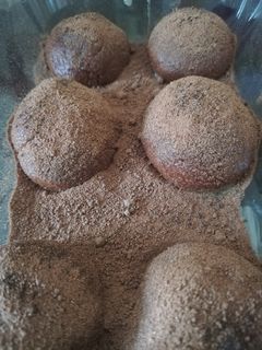 Ízletes Csokigolyó recept fotója