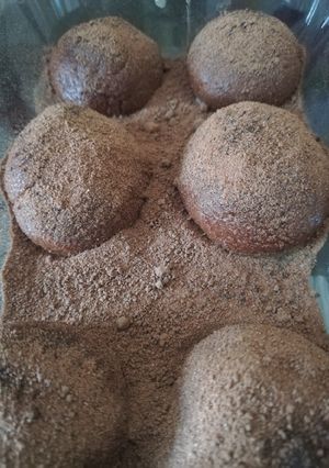 Ízletes Csokigolyó recept fotója