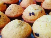 Une photo de madeleine chocolat