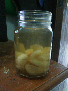 Foto resep Setup Salak