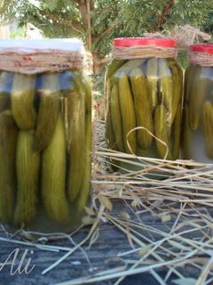 صورة لوصفة كبيس خيار
