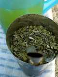 Tereré mate frío, con jugo de frutas natural