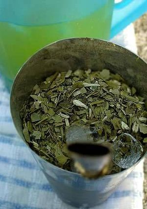 Una foto de Tereré mate frío, con jugo de frutas natural