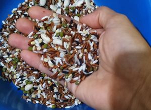 Foto resep Nasi multigrain rice