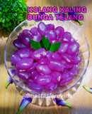 Kolang Kaling bunga telang