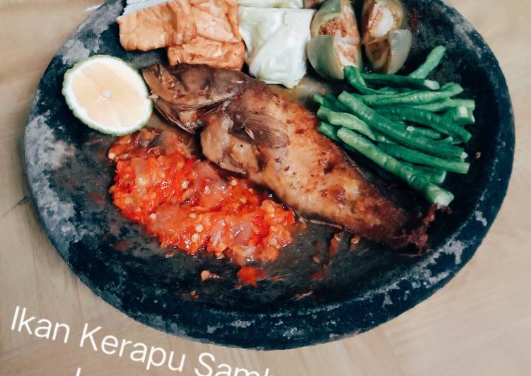 Resep Terbaru Ikan Kerapu Sambal Jeruk Purut Enak Bergizi