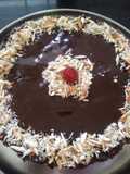 Cherry Coco Biscuit Cake