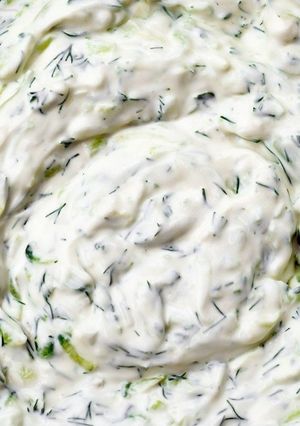 A picture of Tzatziki Sauce.