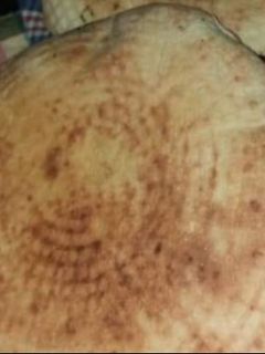 صورة لوصفة خبز البطبوط للسندويتشات