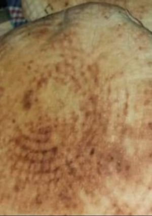 صورة لوصفة خبز البطبوط للسندويتشات