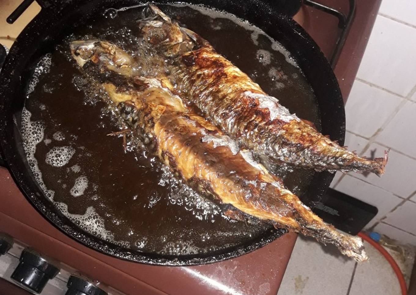 Fried Titus Fish