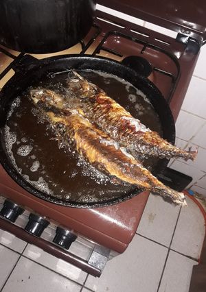 A picture of Fried Titus Fish.