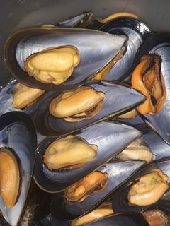 Una foto de Mejillones al vapor