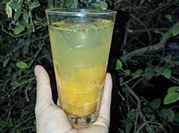 Una foto de cocteles de menta
