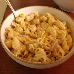A picture of Chicken Alfredo Pasta.