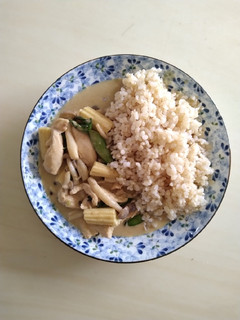 簡單版泰式綠咖哩雞 的食譜成品照片