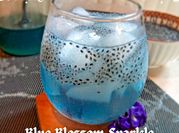 Gambar mocktail bunga telang