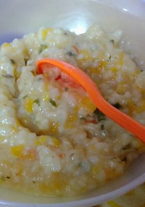Foto resep MPASI 8+ Bubur Nasi Wortel