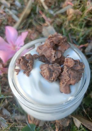 Une photo de 🍦 Crème glacée à la vanille