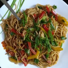 A picture of Noodles.