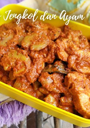 Foto resep Rendang Ayam dan Jengkol