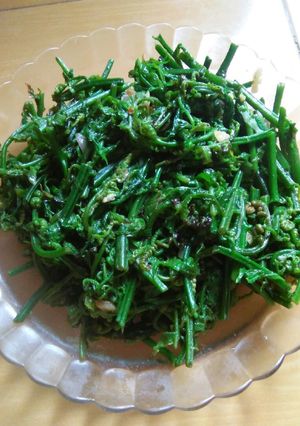 Foto resep Tumis pakis