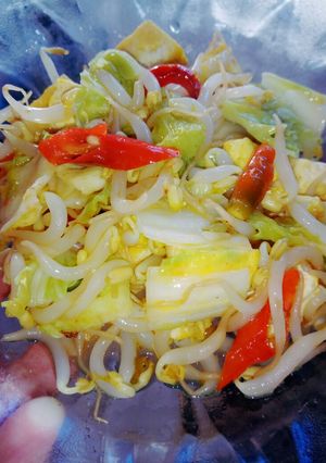 Foto resep Tumis toge sawi putih