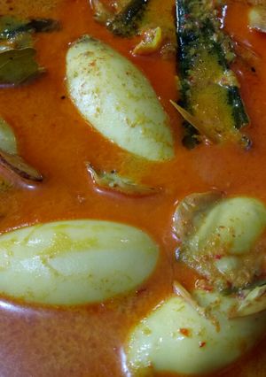 Foto resep Gulai Cumi isi Tahu Telor