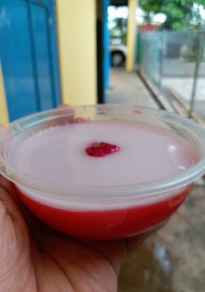 Foto resep Puding Buah Naga