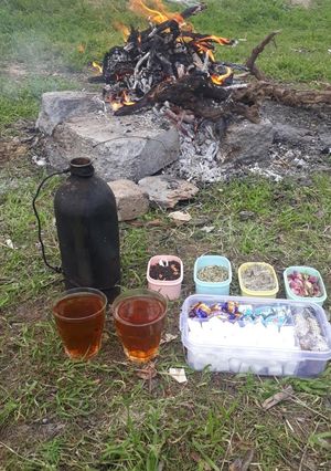 عکسی از دستور چایی بیابونی همسر جان😍