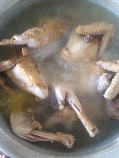 عکسی از دستور 🐓خوراک خروس 🐓