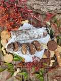 Salame di cioccolato (senza uova)