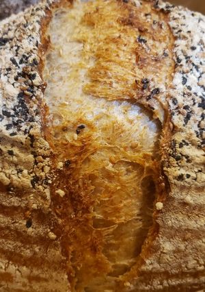 A picture of Sourdough bread.