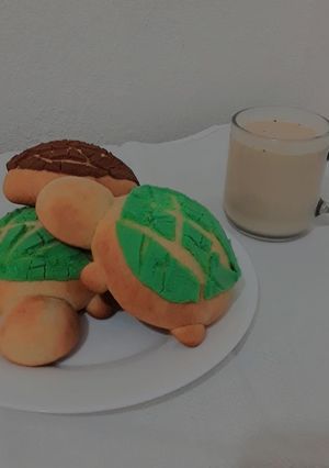 Una foto de Tortuconchas al rescate...🐢