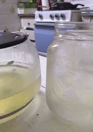 Una foto de Te Helado de Albahaca y Limón