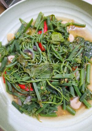 Foto resep Tumis Pucuk Labu Saos Tiram