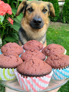Csokis muffin recept fotója