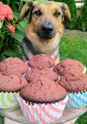 Csokis muffin recept fotója