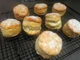 english scones