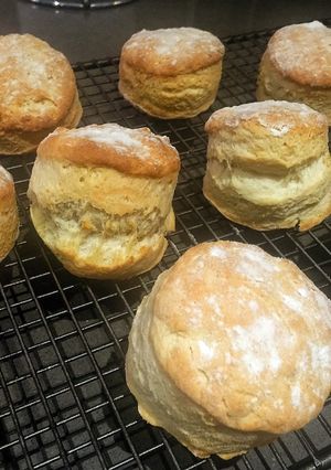 A picture of Classic English Scones.