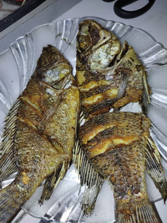 Foto resep Ikan mujair goreng