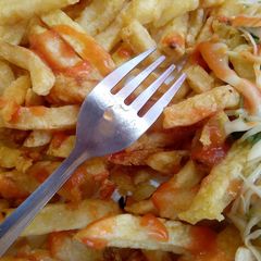 A picture of Chips.