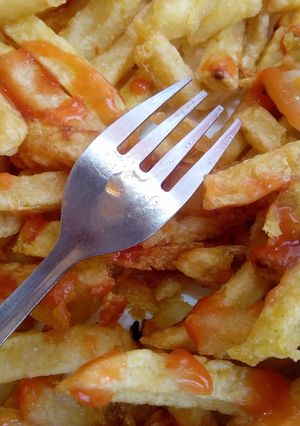 A picture of Chips.