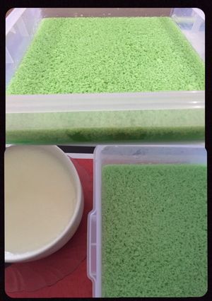 Foto resep Agar lumut + fla santan