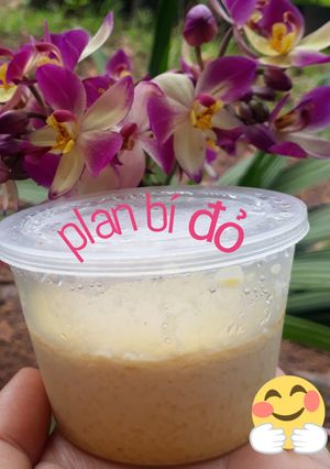 Hình của món Flan bí đỏ.