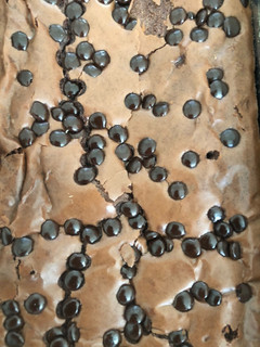 Foto resep Brownies panggang